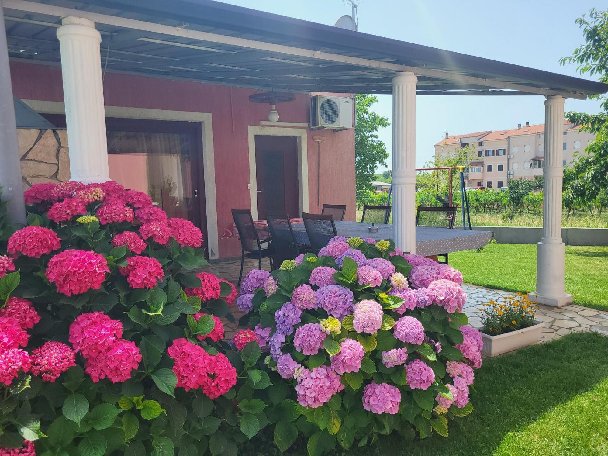 Apartments Dragica Porec Esterno foto