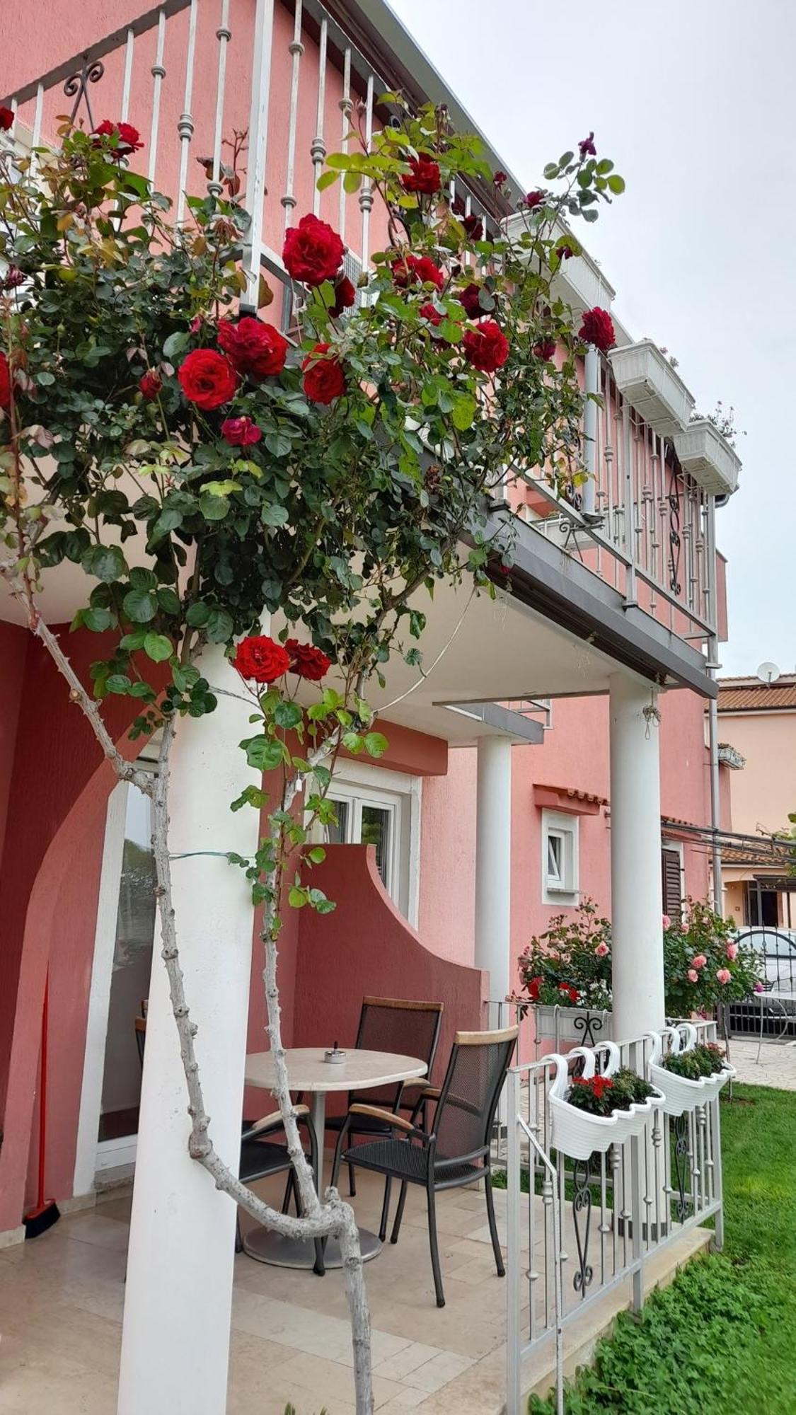 Apartments Dragica Porec Esterno foto