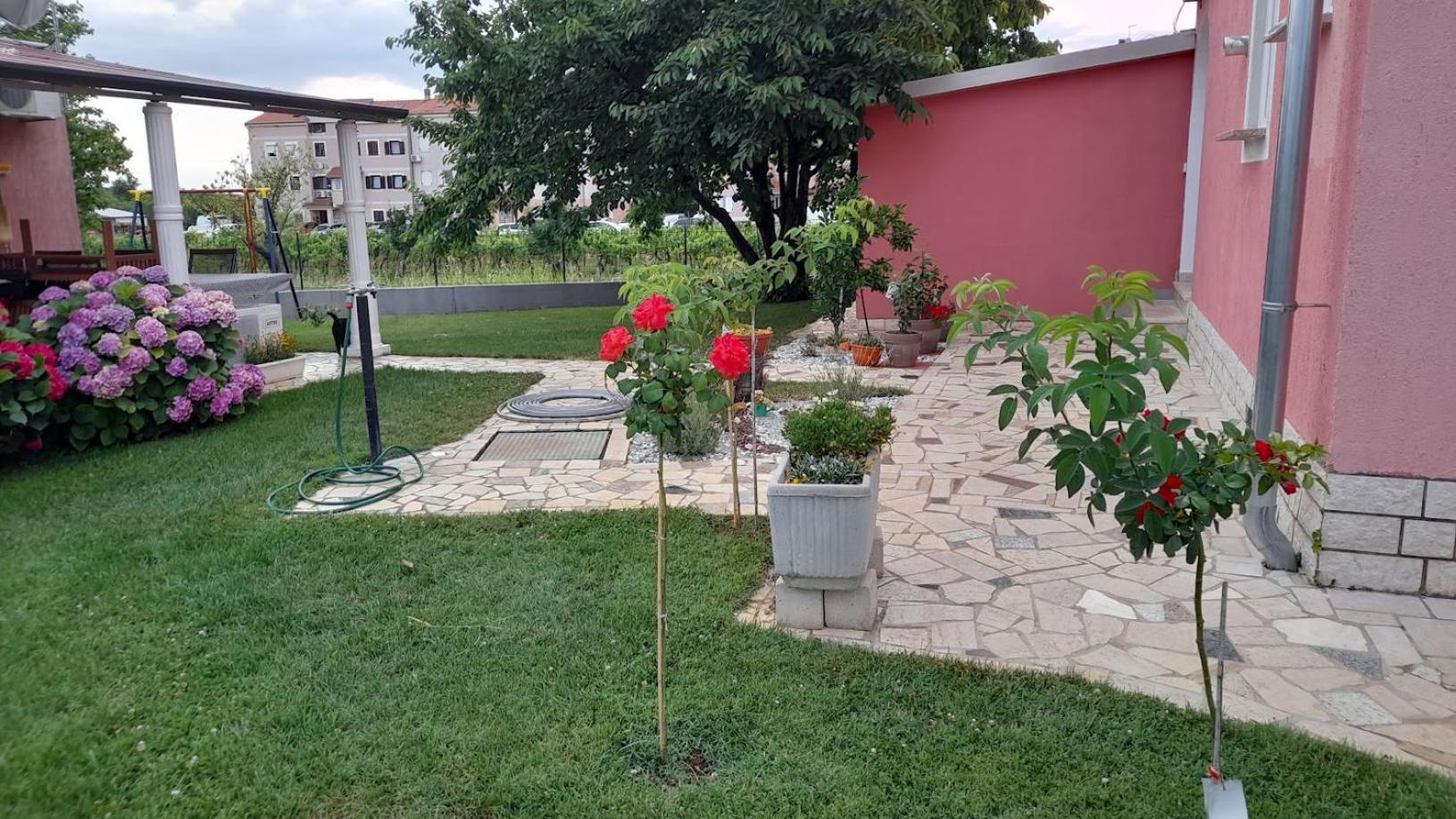 Apartments Dragica Porec Esterno foto